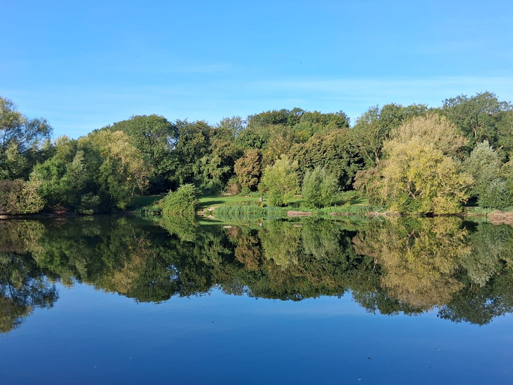 Capstone Farm Country Park