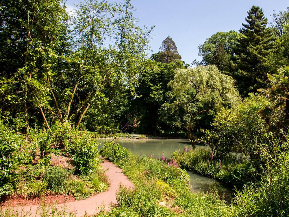 Cockington Country Park