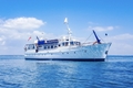 Seafin 2024 Relaunch at Port Hamble Marina