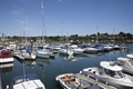 This Marina Life Podcast with MDL Marinas: Berthing and Anchorages in the Solent