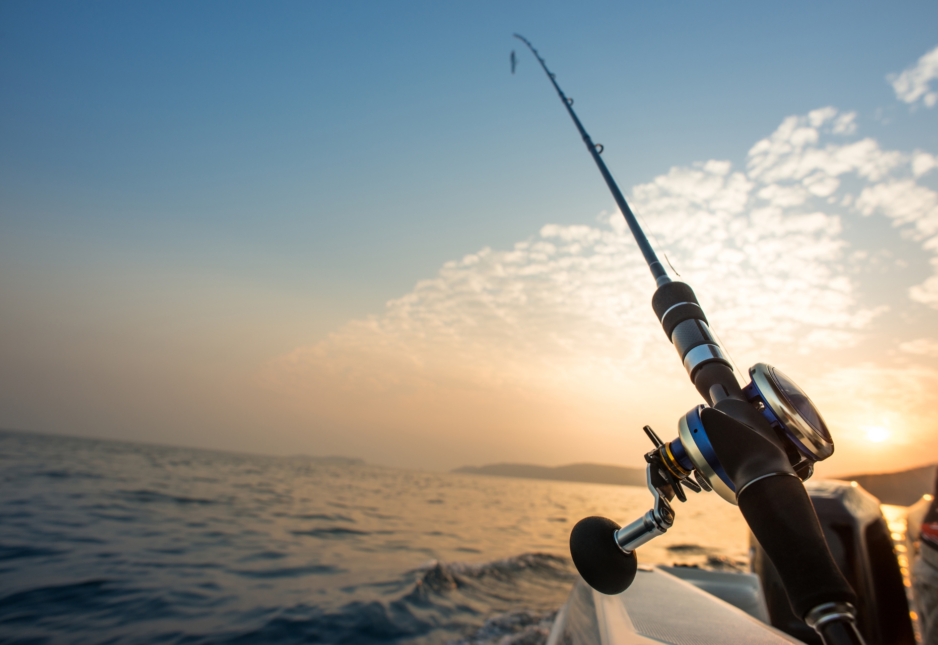 Cobbs Quay Fishing Competition