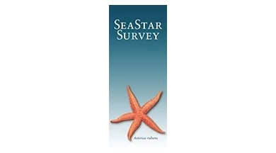 Seastar Survey